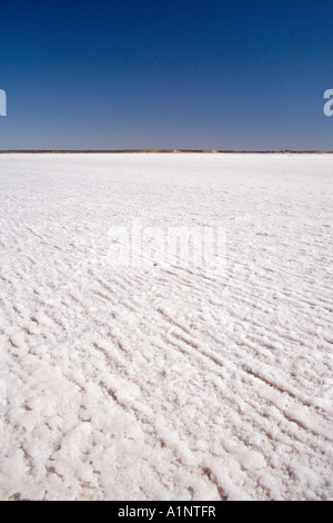 Crosta di sale Lago Hart Stuart Highway vicino a Woomera Outback South Australia Australia Foto Stock