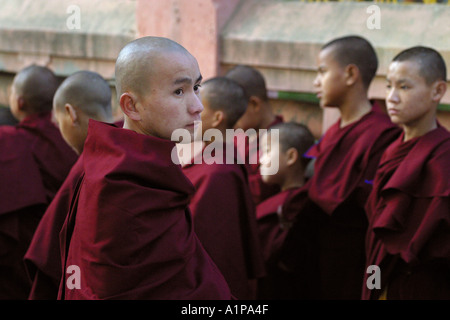 I giovani monaci tibetani si sono riuniti presso il tempio di Mahabodhi a Bodhgaya, in Bihar in India Foto Stock