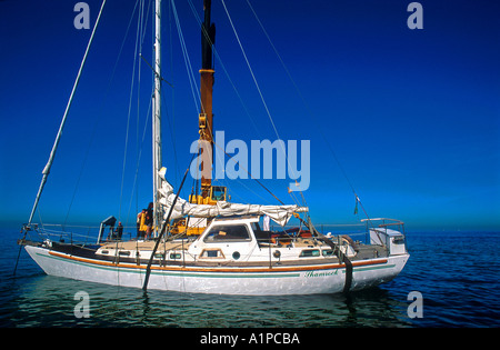 Pontone galleggiante e la gru sono usati per sollevare un affondato yacht da crociera della Baia di Port Phillip Victoria Australia Foto Stock