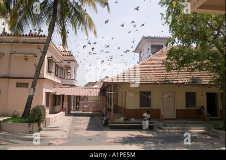 Piccioni si riuniscono per una alimentazione giornaliera presso il tempio Jain di Fort Cochin India Kerala Foto Stock