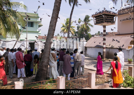 Piccioni si riuniscono per una alimentazione giornaliera presso il tempio Jain di Fort Cochin India Kerala Foto Stock