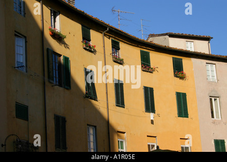 Anfiteatro romano di Lucca Italia Italy Foto Stock