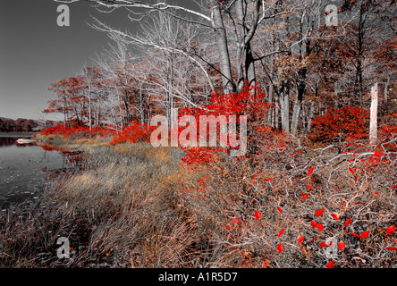 Lago Steenykill High Point State Park NJ Foto Stock
