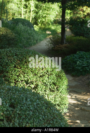 Parco con siepi tagliate Foto Stock