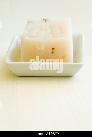 Sapone in soapdish Foto Stock