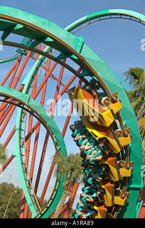 I piloti fino ad ansa rivolta verso il basso su Kumba roiller coaster Busch Gardens Tampa Florida USA Foto Stock