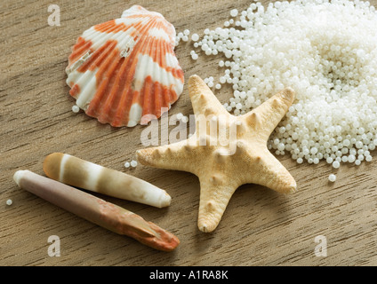 Conchiglie e perle per il bagno Foto Stock