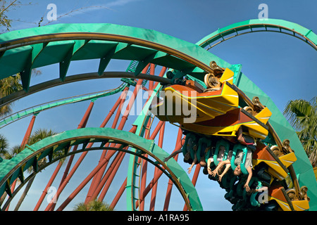 I piloti fino ad ansa rivolta verso il basso su Kumba roiller coaster Busch Gardens Tampa Florida USA Foto Stock