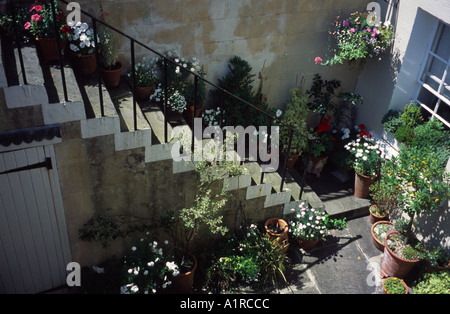 Gradini rivestiti con piante giù per un giardino flat Bath Spa, Somerset, Inghilterra, Regno Unito Foto Stock