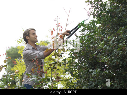 L'uomo facendo yardwork, arbusto a fresare Foto Stock