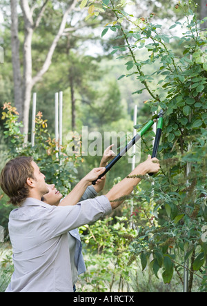 L'uomo facendo yardwork, arbusto a fresare Foto Stock