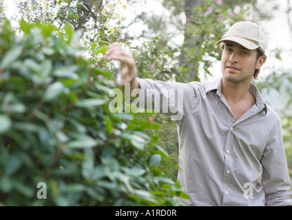 L'uomo facendo yardwork Foto Stock