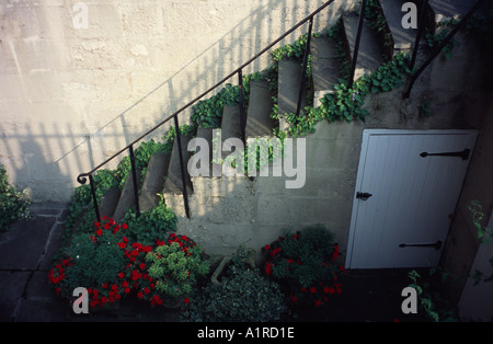 Gradini rivestiti con piante giù per un giardino flat Bath Spa, Somerset, Inghilterra, Regno Unito Foto Stock