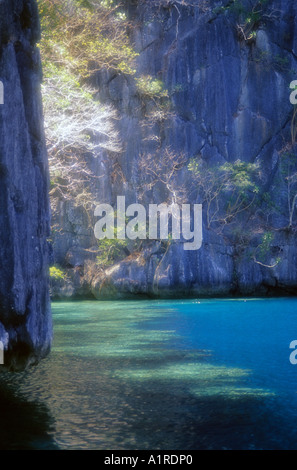 Una delle molte isole trovati in Coron, nel sud delle Filippine dove preziose nidi di uccelli sono abbondanti. Foto Stock