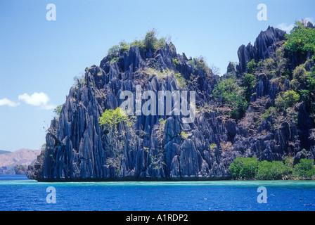 Una delle molte isole trovati in Coron, nel sud delle Filippine dove preziose nidi di uccelli sono abbondanti. Foto Stock