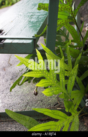 Posto tranquillo Foto Stock