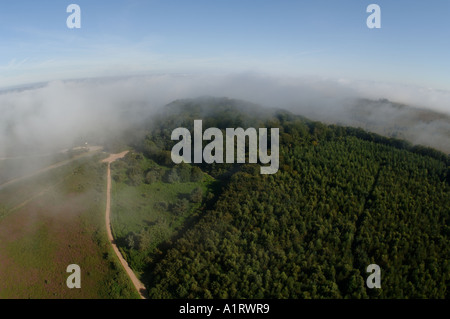 Woodbury Common Exeter Devon Regno Unito Foto Stock