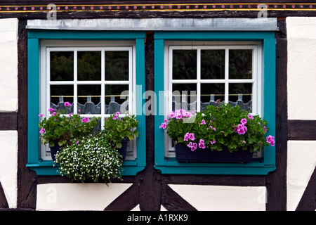 Paesaggio con scatole di finestra con fiori e piante durante l'inizio dell'autunno in Bad Honnef in Germania Foto Stock