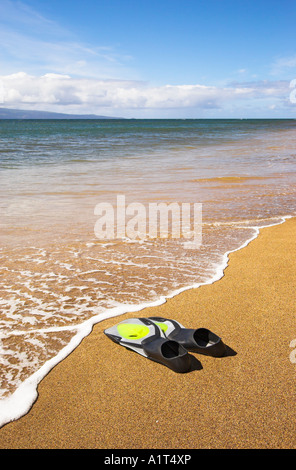 Una coppia di alette di snorkeling sulla spiaggia di Kahana, Maui, Hawaii, USA (agosto 2006) Foto Stock