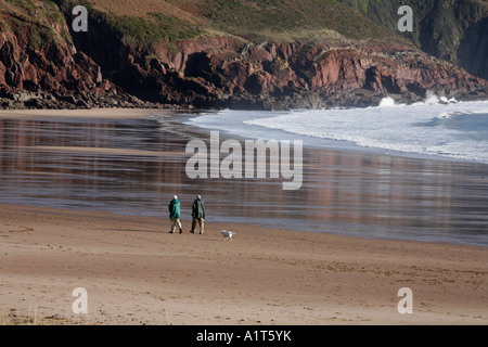 Walkers su una spiaggia con il cane Foto Stock