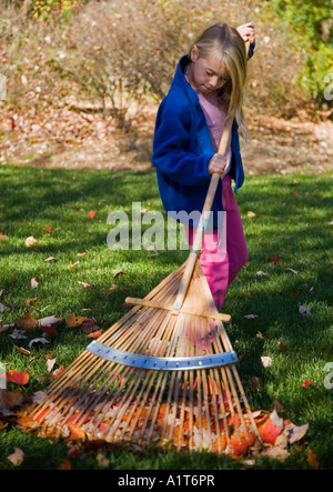 Bambino a rastrellare foglie in cortile Foto Stock