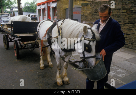 Rag e osso l uomo con il suo Totters cavallo carrello alimentando il suo cavallo. Nottinghill Gate Londra Ovest degli anni novanta Carthorse Inghilterra rag n osso, HOMER SYKES Foto Stock