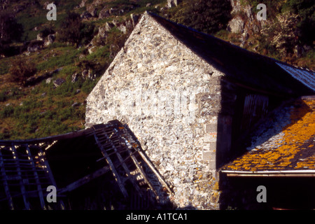 Abbandonati gli edifici di fattoria nella valle Dysinni vicino Merioneth Tywyn Foto Stock