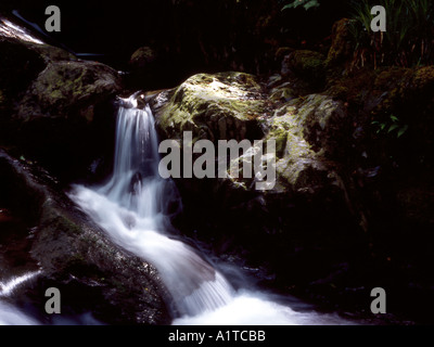 La cascata nel Nant Gwernol burrone vicino Abergynolwyn Gwynedd Foto Stock