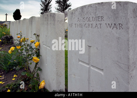 Rose giallo crescente da una grave segnato un soldato della Grande Guerra Foto Stock