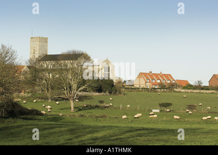 Villaggio Chiesa con pecore a pascolo in primo piano Norfolk Regno Unito Foto Stock