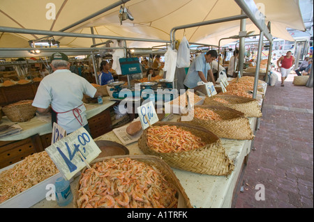 Gamberi in vendita nel ver o mercato in pesos Belem Para membro Brasile Foto Stock