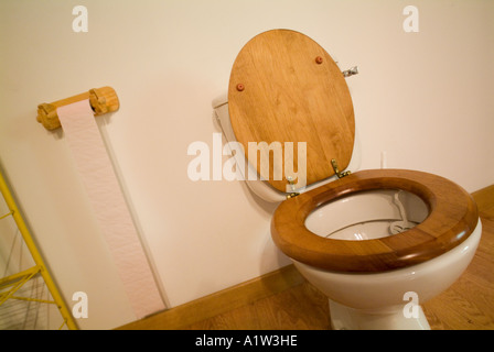 Rotolo di carta igienica e wc in bagno. Foto Stock