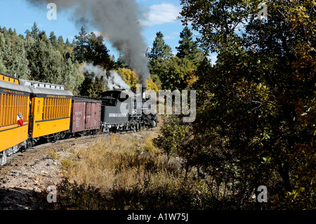 Un passeggero si affaccia alla finestra per scattare una foto a Durango e Silverton Narrow Gauge Railroad Colorado USA Foto Stock