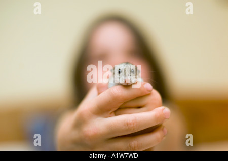 Nove anni di bambina gioca con pet hamster a casa in camera da letto hamster guarda nella telecamera Foto Stock