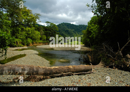 Flusso nella foresta in PIEDRAS BLANCAS, Puntarenas Provincia, Regione del Pacifico del Sud, Costa Rica, America Centrale Foto Stock