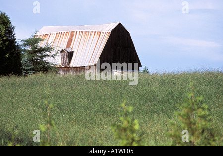 Vecchio Post e fascio fienile con foglio arrugginito tetto metallico dietro un campo di fieno Ontario Canada Foto Stock