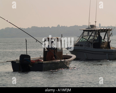 Quahoggers (shell pescatore) opera rastrellando per le vongole in Narragansett Bay Foto Stock