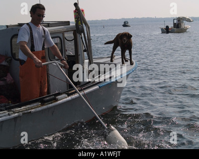 Quahoggers (shell pescatore) opera rastrellando per le vongole in Narragansett Bay Foto Stock