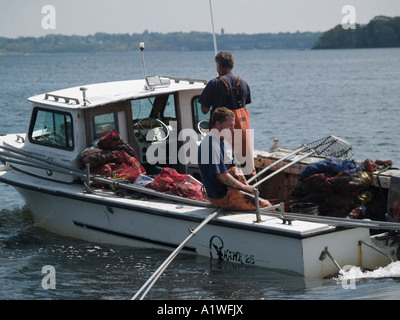 Quahoggers (shell pescatore) opera rastrellando per le vongole in Narragansett Bay Foto Stock