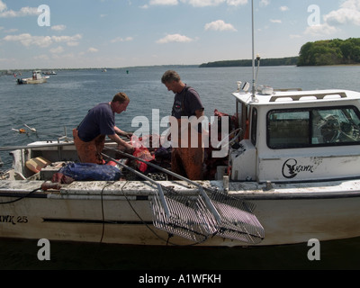 Quahoggers (shell pescatore) opera rastrellando per le vongole in Narragansett Bay Foto Stock