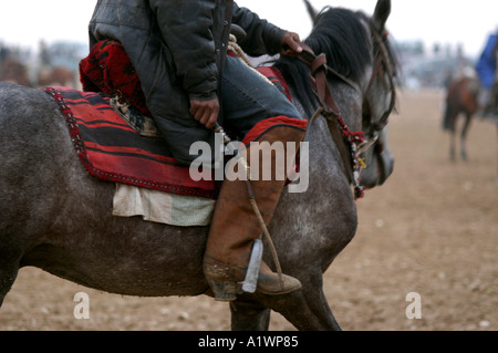 Cavaliere di prendere parte al gioco di Bukashi, Mazar i Sharif, Afghanistan Foto Stock