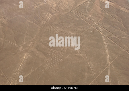 Preso da un aeromobile leggero sopra le linee di Nazca che mostra la "Il Condor" - probabilmente la più famosa di Nazca immagini. Foto Stock