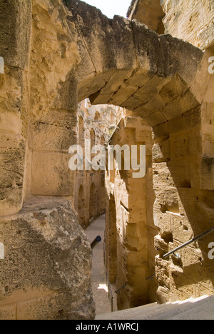 Colosseo romano, El Jem. Foto Stock