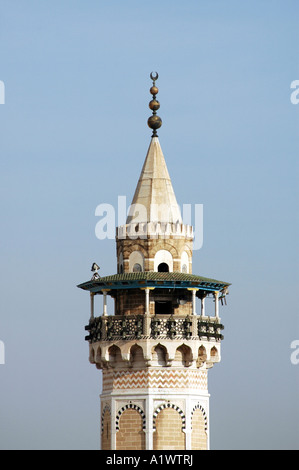 Minareto della moschea di Tunisi, capitale della Tunisia Foto Stock