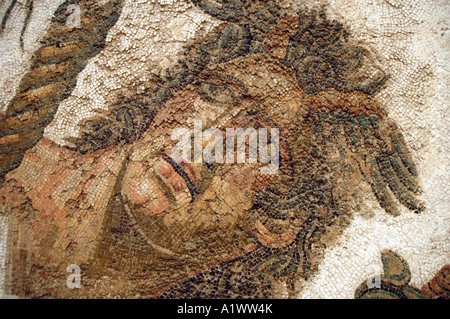 Mosaico romano in camera Giardino del Museo Bardo di Tunisi, capitale della Tunisia Foto Stock