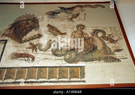 Mosaico romano in camera Giardino del Museo Bardo di Tunisi, capitale della Tunisia Foto Stock