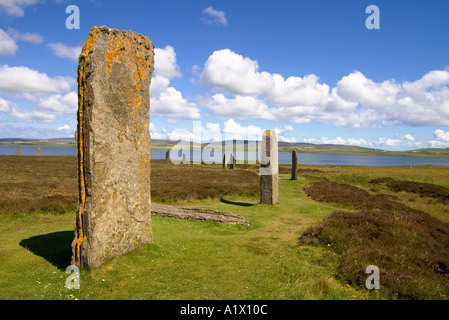Dh ANELLO DI BRODGAR Isole Orcadi Neolitiche permanente cerchio di pietre di Loch di Harray Foto Stock