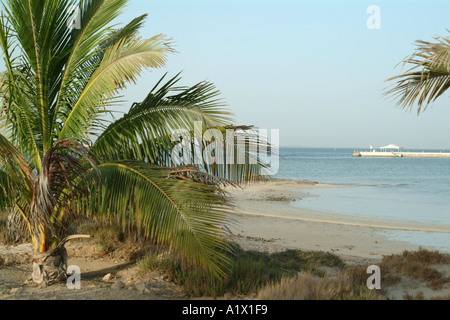 Isola Futaisi Abu Dhabi Emirati arabi uniti Foto Stock