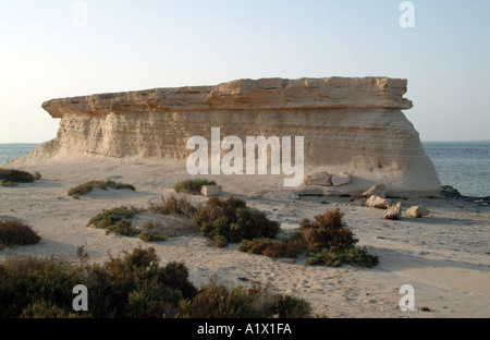 Isola Futaisi Abu Dhabi Emirati arabi uniti Foto Stock