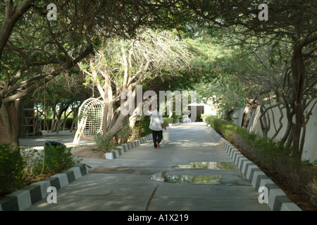 Isola Futaisi Abu Dhabi Emirati arabi uniti Foto Stock